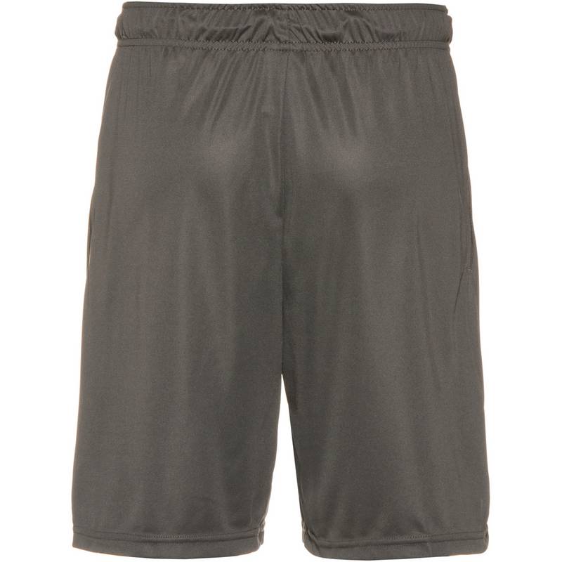 Nike Dry Funktionsshorts Herren
