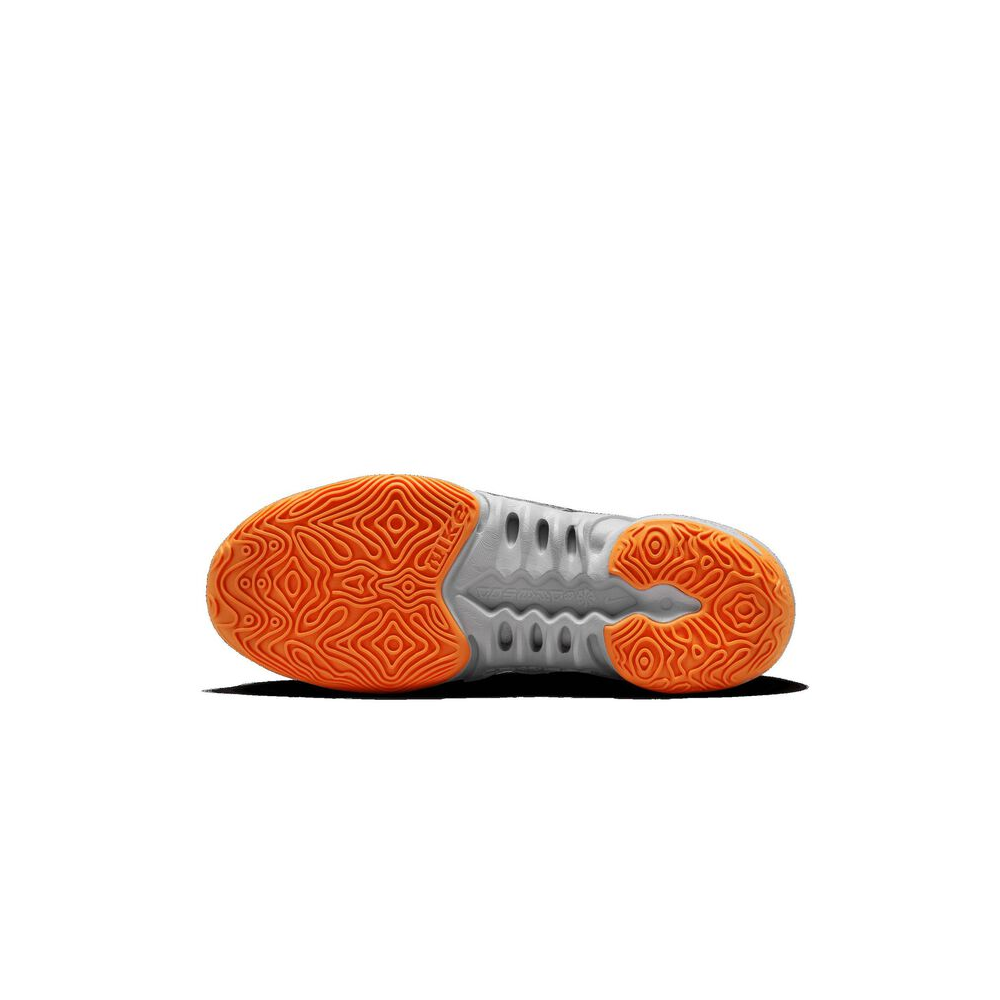 Nike Cosmic Unity 2 DH1537-004 / grau