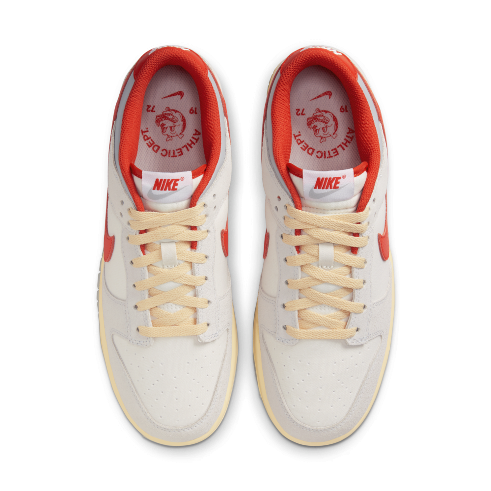 Nike Dunk Low FJ5429-133 / grau