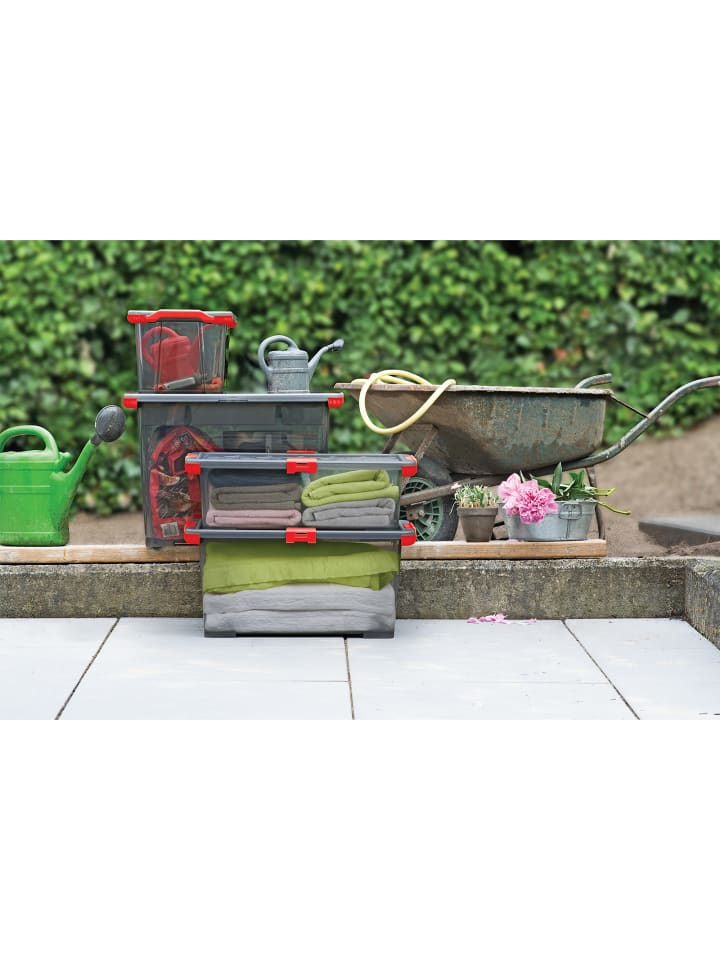 Rotho Box 15 l EVO TOTAL PROTECTION günstig kaufen onesize