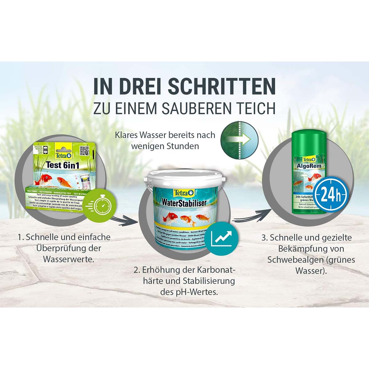 TetraPond AlgoRem günstig kaufen
