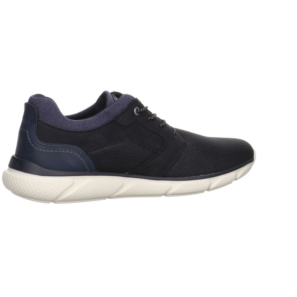 SALAMANDER Ponthus Sneaker