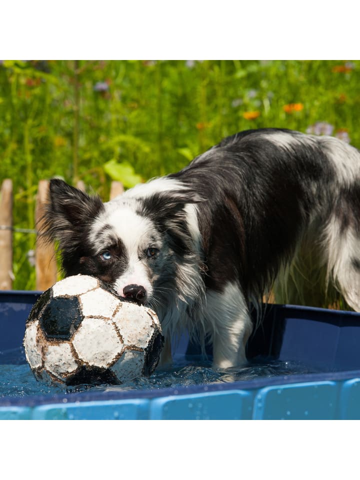 relaxdays Hundepool in Blau - (H)30 x Ø 120 cm günstig kaufen onesize