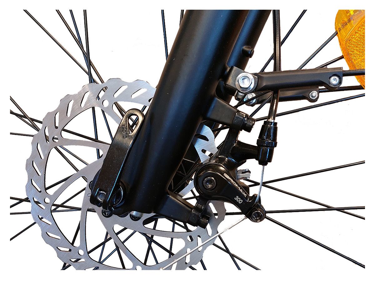 Villette L' Amant Premium elektrisches Cityfahrrad
