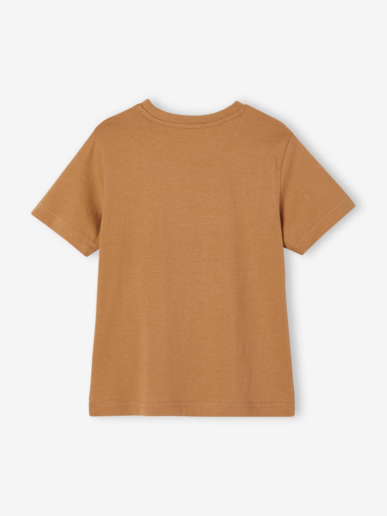 Vertbaudet Jungen T-Shirt mit Dino-Print, Recycling-Baumwolle - graublau