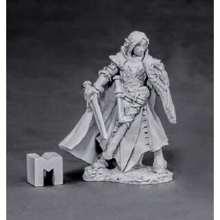 Alandin Elf Paladin