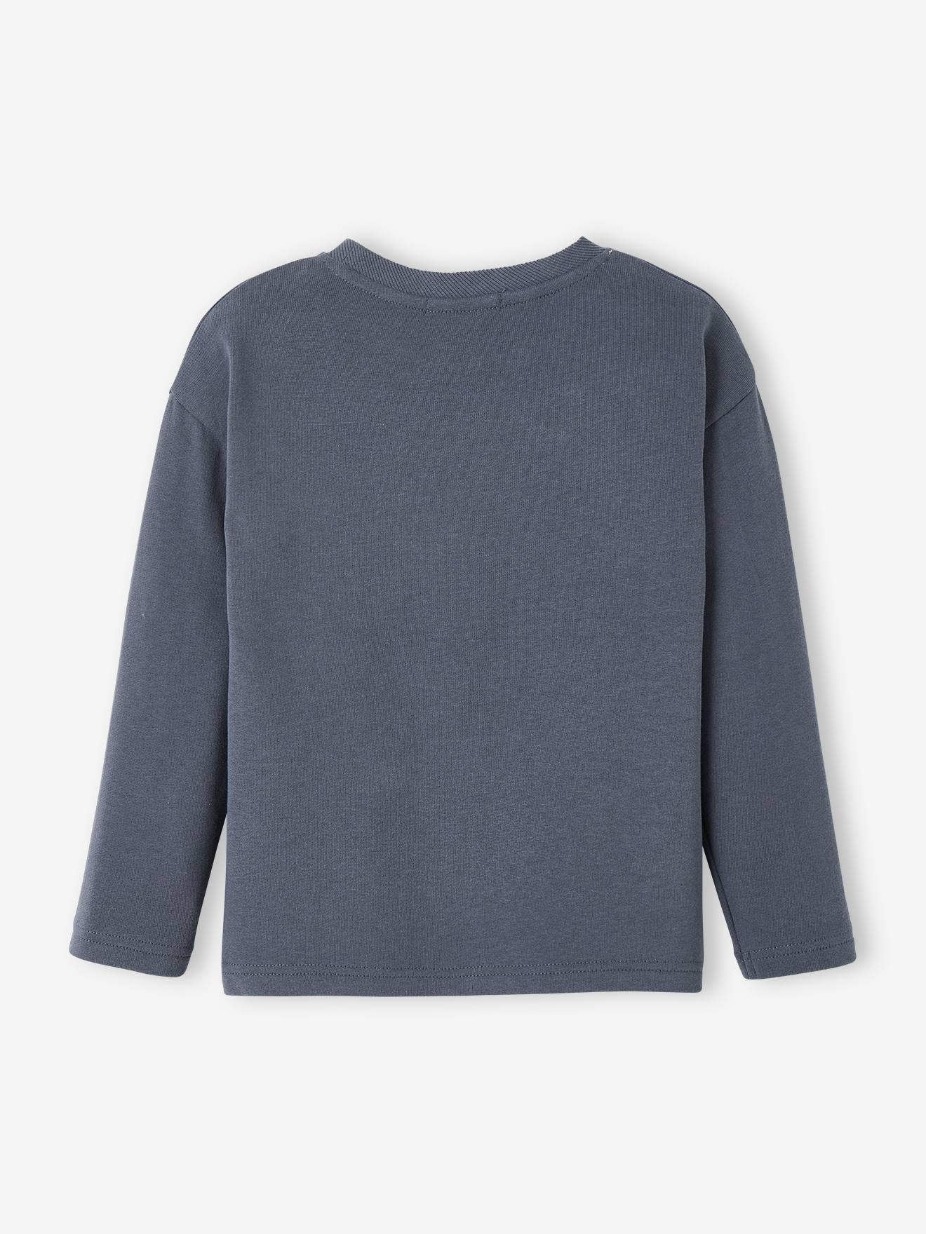 Tee-shirt épais effet sweat garçon poche surprise bleu grisé