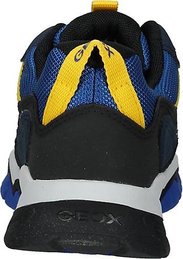 Geox Sneaker