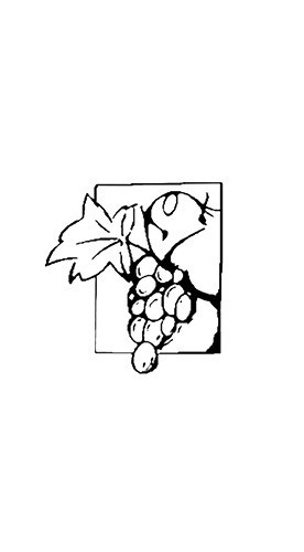 2022 Lother's Kollektion Bacchus halbtrocken 0,25 L - Weingut Lother