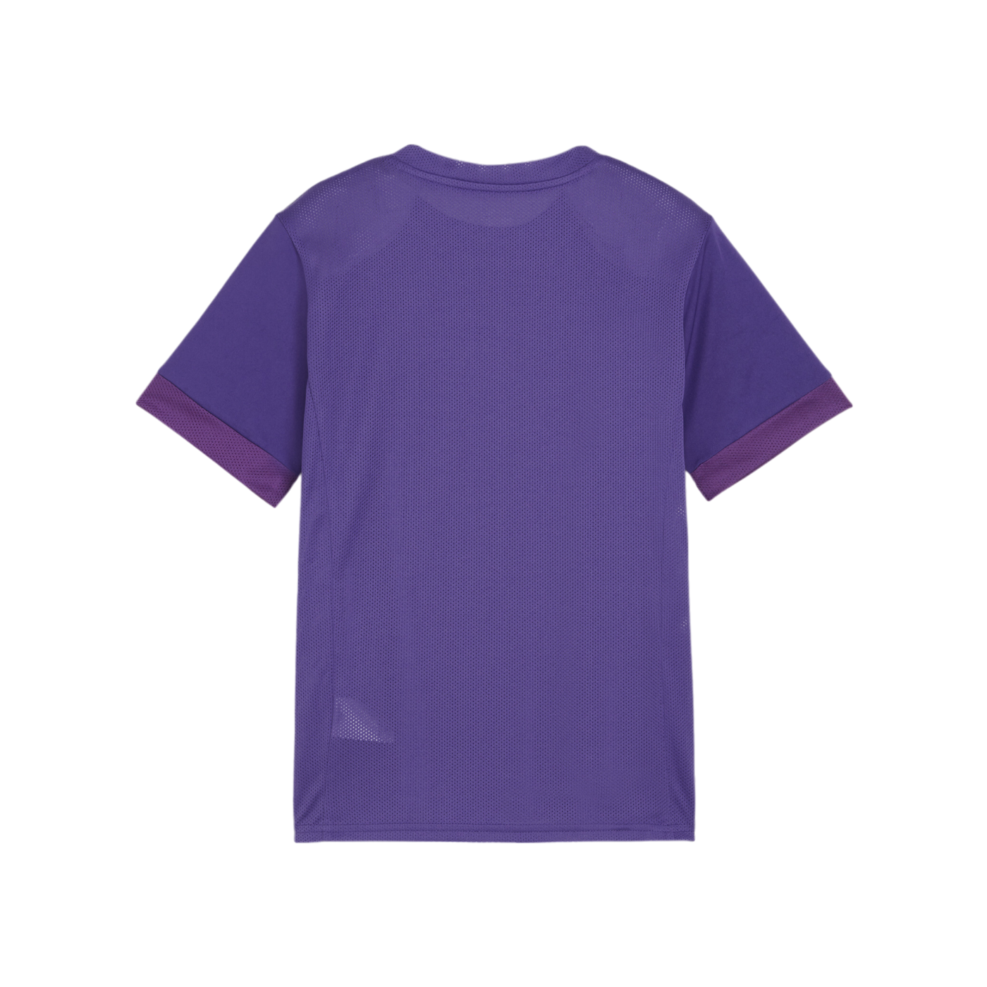 PUMA teamGOAL Matchday Trikot Kids Lila Weiss F10