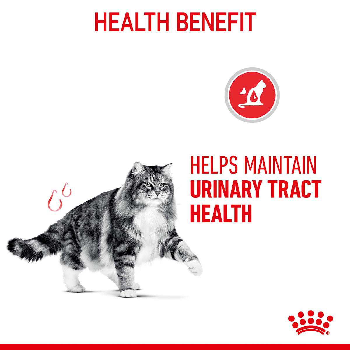 Royal Canin FCN Urinary Care günstig kaufen