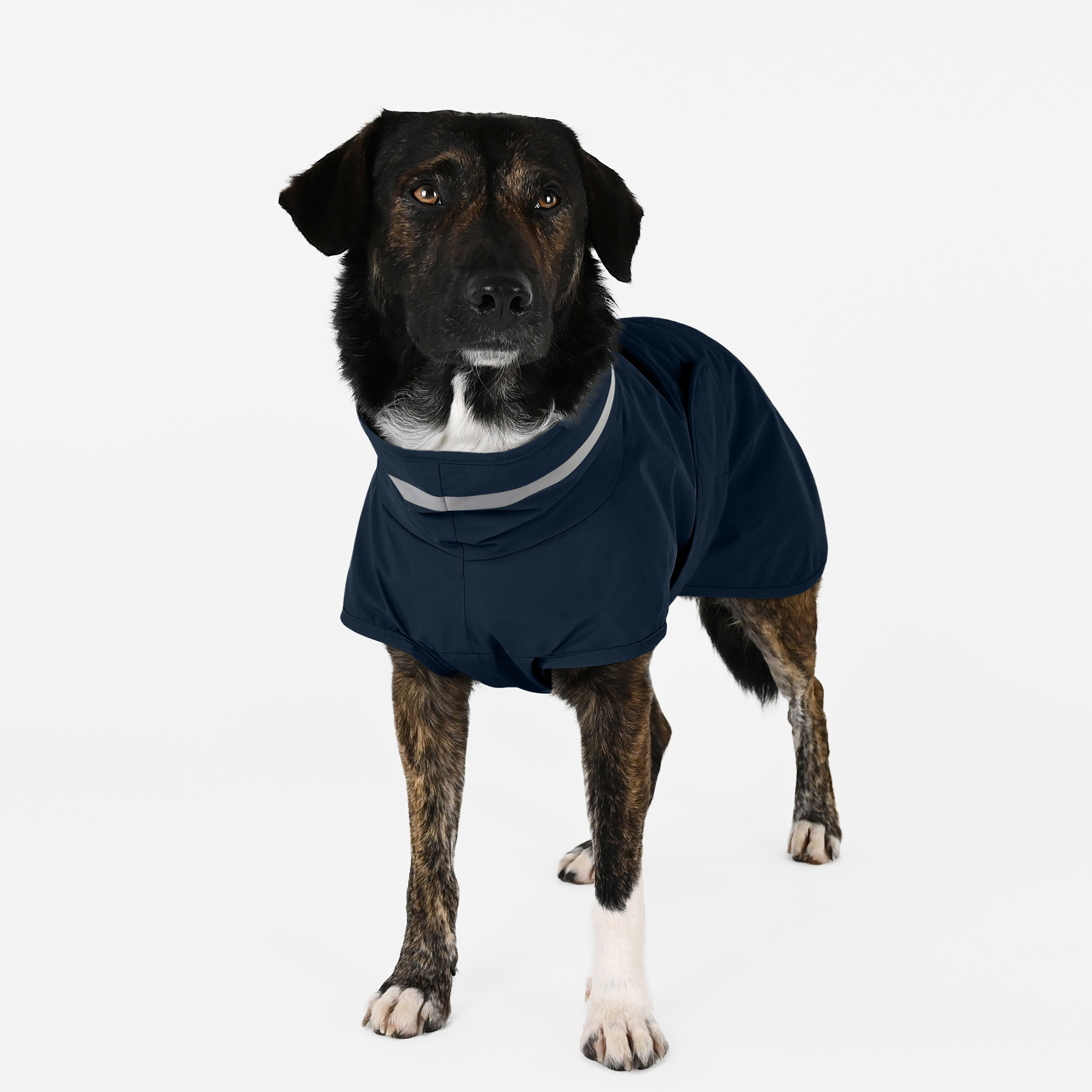 THE DOG IDEA Hundemäntel THE DOG IDEA Regenmantel Kayden Navy XL