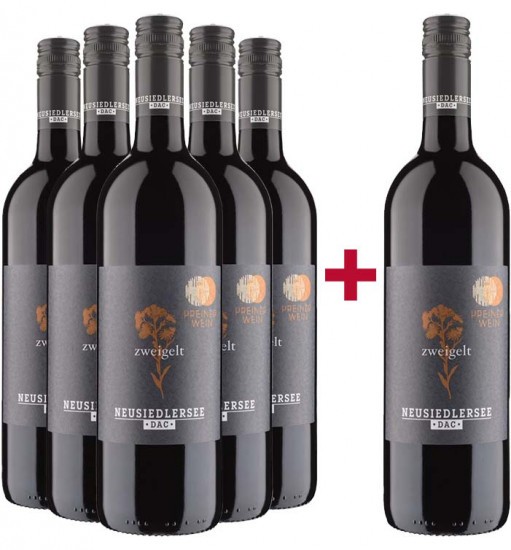 5+1 Paket Zweigelt Neusiedlersee DAC trocken - PreinerWein