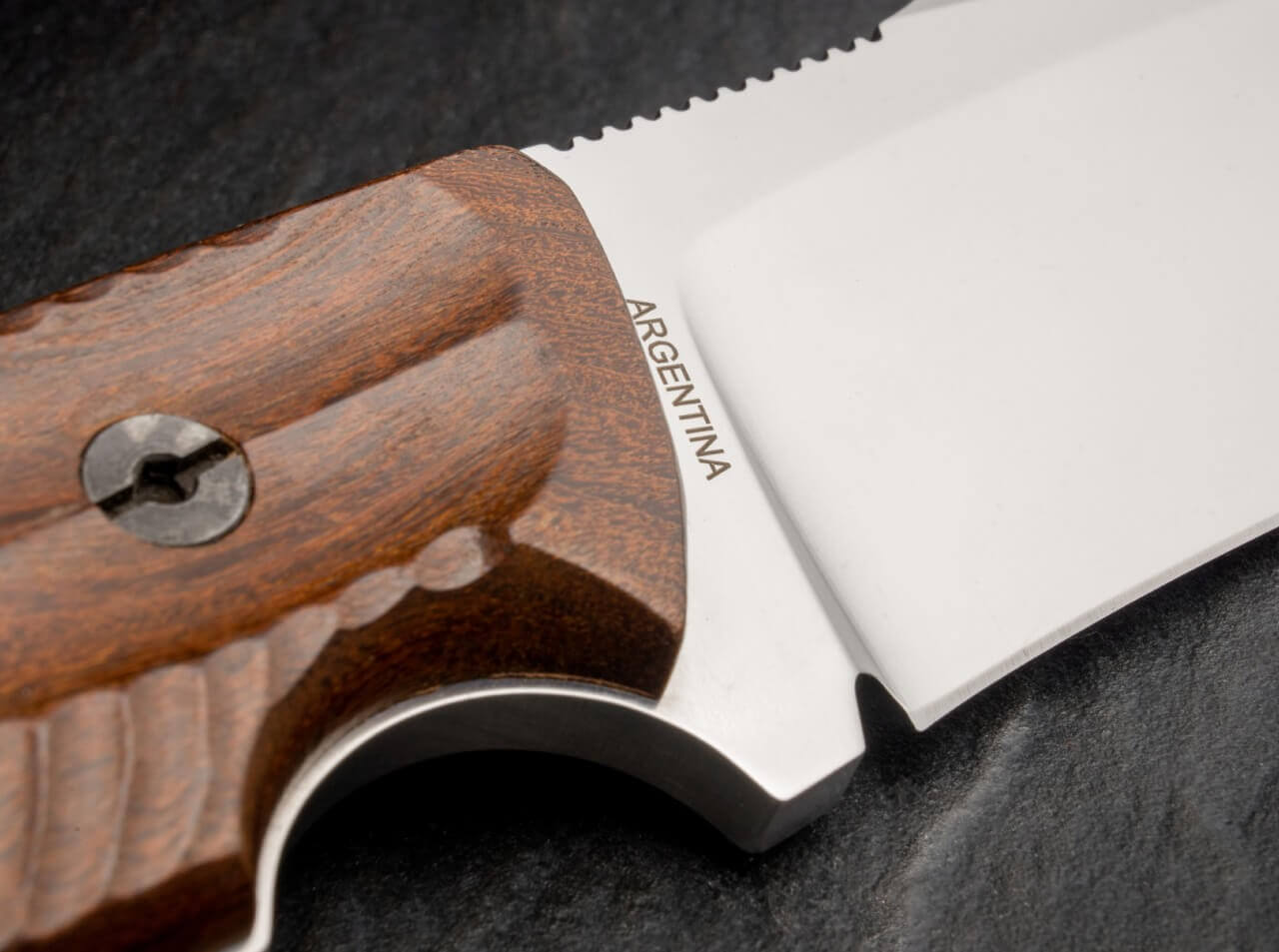 Bison Guayacan