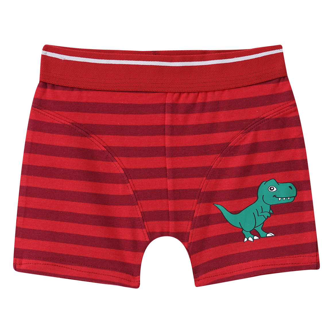 5 Jungen Boxer in verschiedenen Dessins