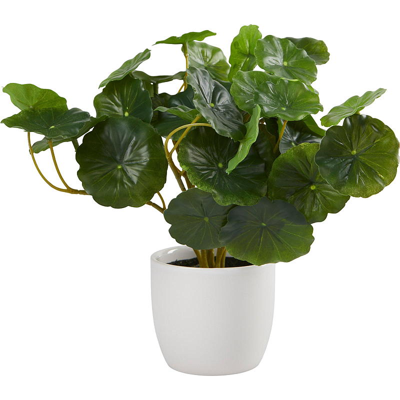 Home Grønnplante 25 cm i porselenspotte