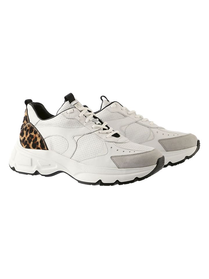 Högl Leder-Sneakers 