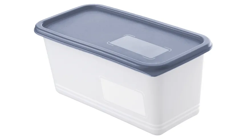 rotho Domino Gefrierdose horizon blue 3x1,5l horizon blue