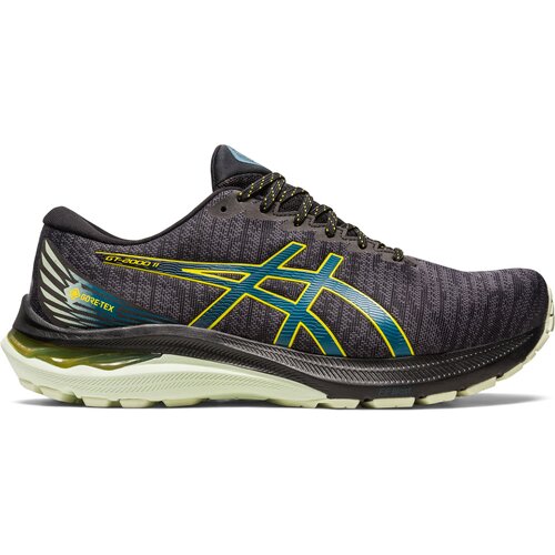 HERREN LAUFSCHUHE GT-2000™ 11 GTX