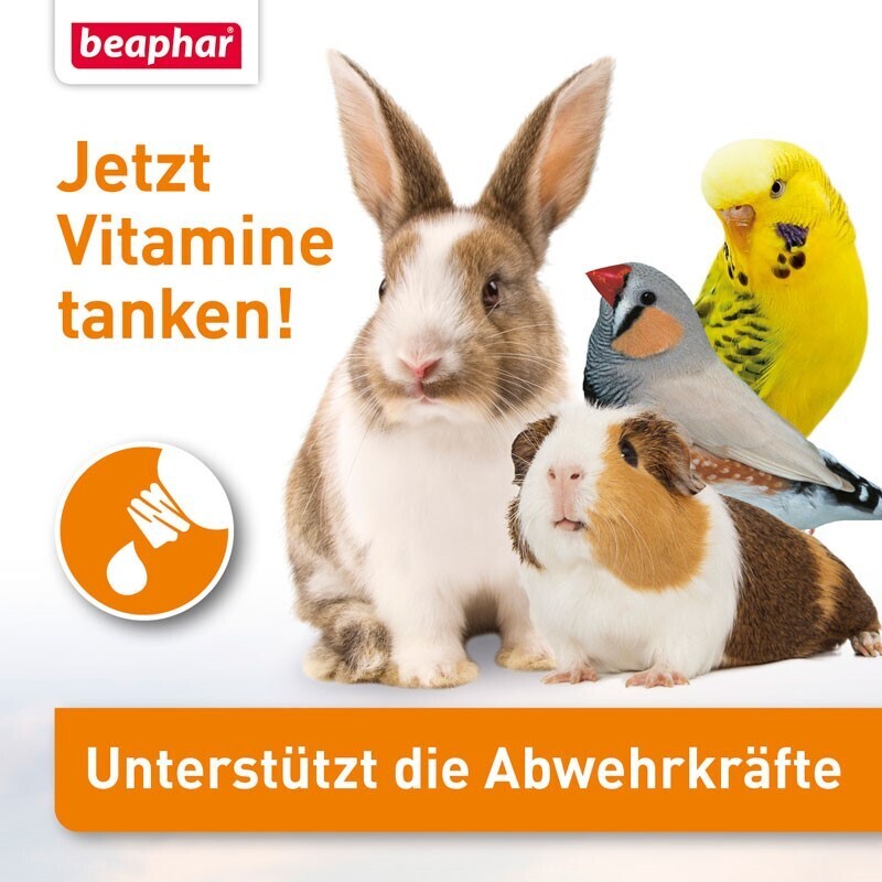 Beaphar Ergänzungsfutter Beaphar Lebensvitamine 50ml