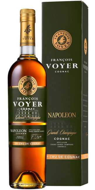 Francois Voyer Napoleon