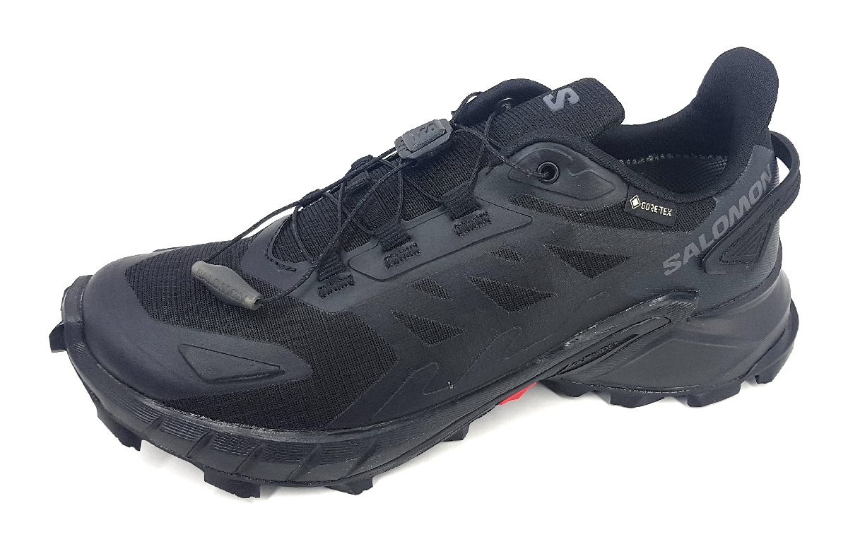 Salomon Supercross 4 GTX L41733900 Schwarz Black