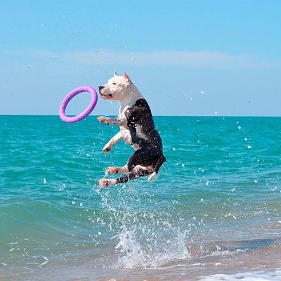 Ferplast Hundespielzeug Puller