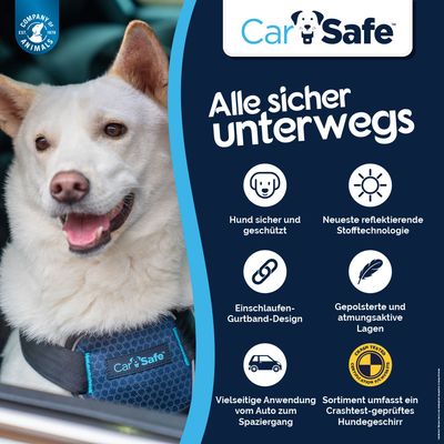 CarSafe Hundereisegeschirr, schwarz