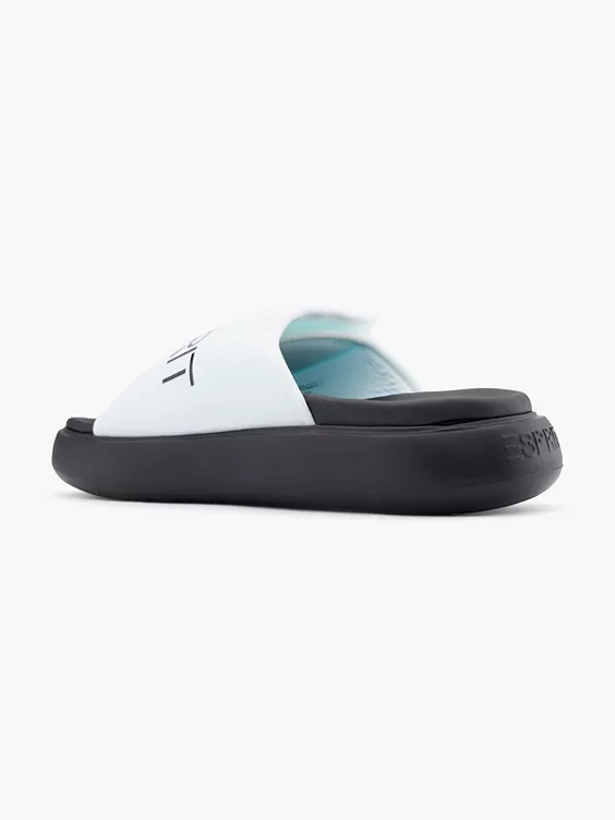 ESPRIT Slides