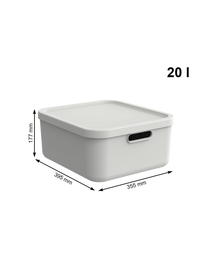 Rotho Albula Light 2er-Set Aufbewahrungskiste 20l in Mistelweiß günstig kaufen onesize