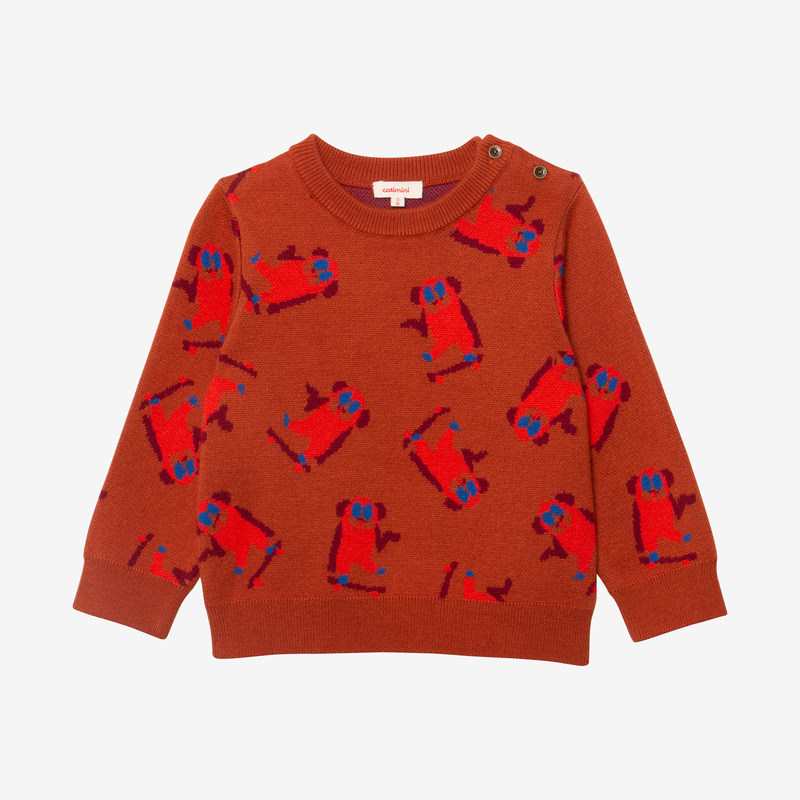 Pull bébé garçon jacquard skate Catimini