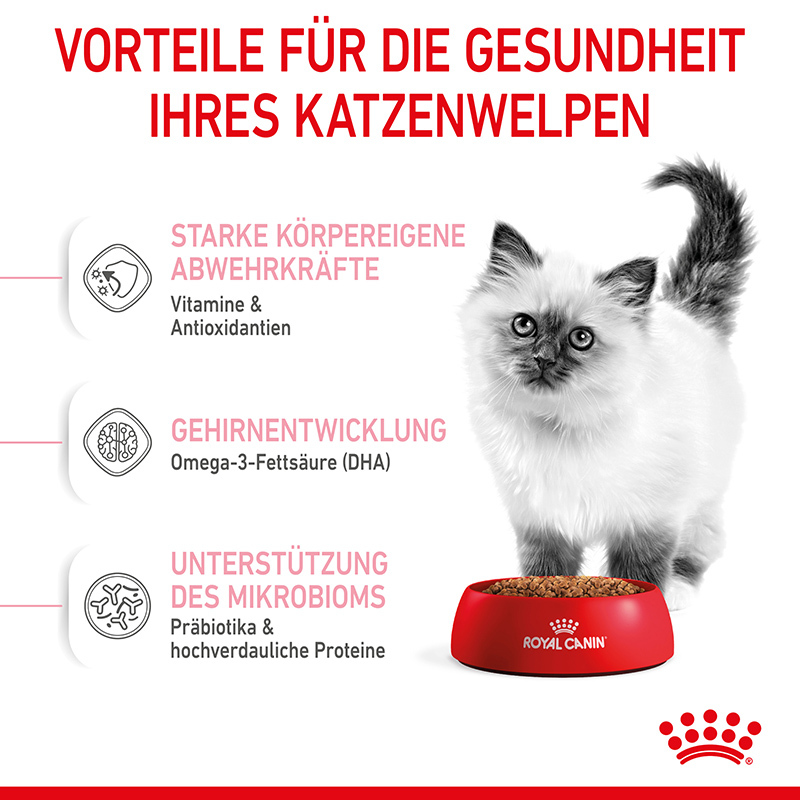 ROYAL CANIN Trockenfutter ROYAL CANIN Kitten 10 kg