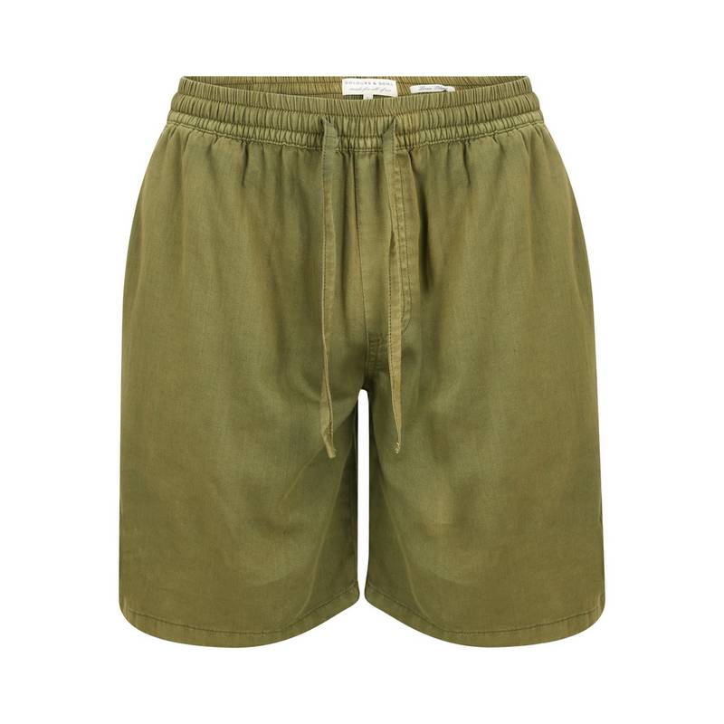 Colours & Sons Shorts Herren