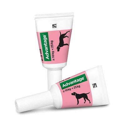 Advantage® 250 für Hunde, von 10 bis 25 kg