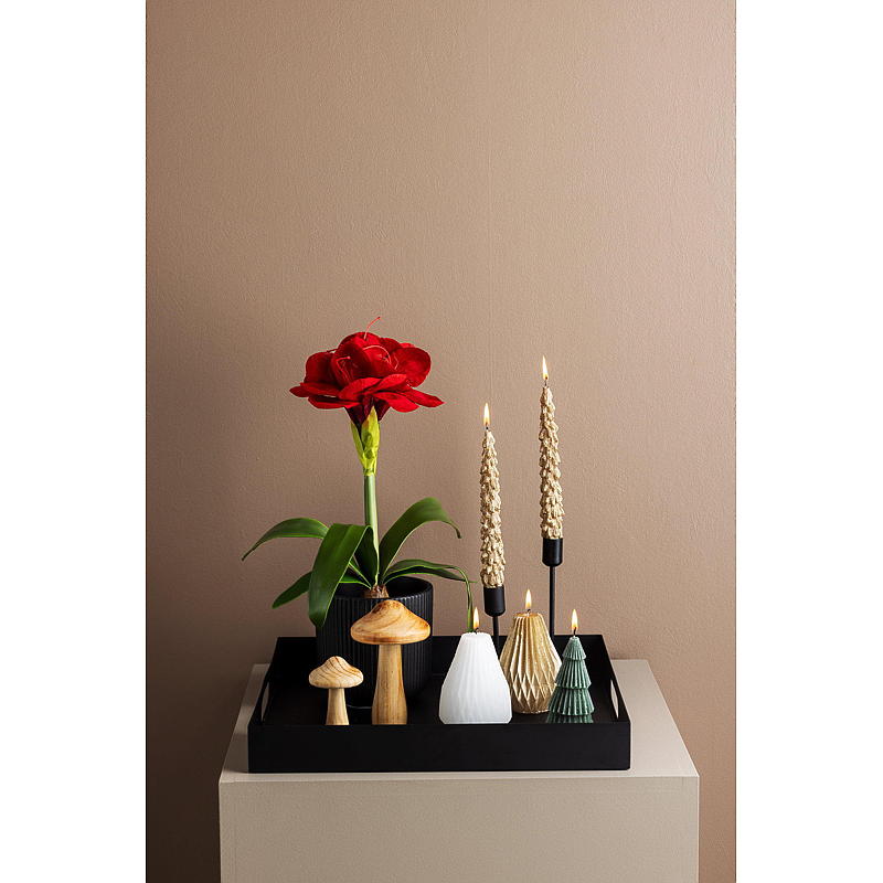 Home Dekorsopp s/2 15/10 cm tre