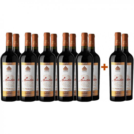 10+2 Paket Le Pergole Primitivo Puglia IGP - Vignaioli Pugliesi