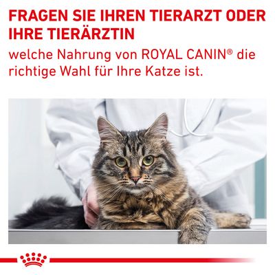 Royal Canin Expert Feline Gastrointestinal Fibre Response
