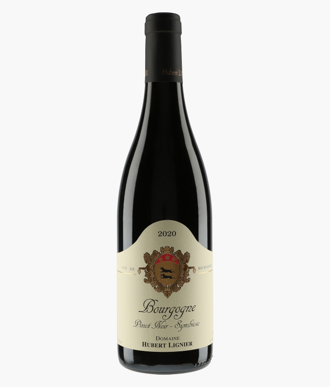 Bourgogne Pinot Noir Symbiose 2020LIGNIER HUBERT
