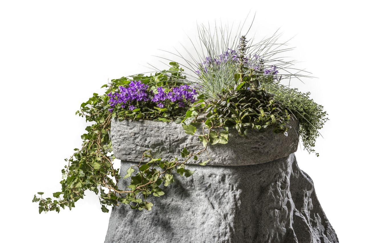 GreenLife Pflanzschale für den Dekor-Regenspeicher 