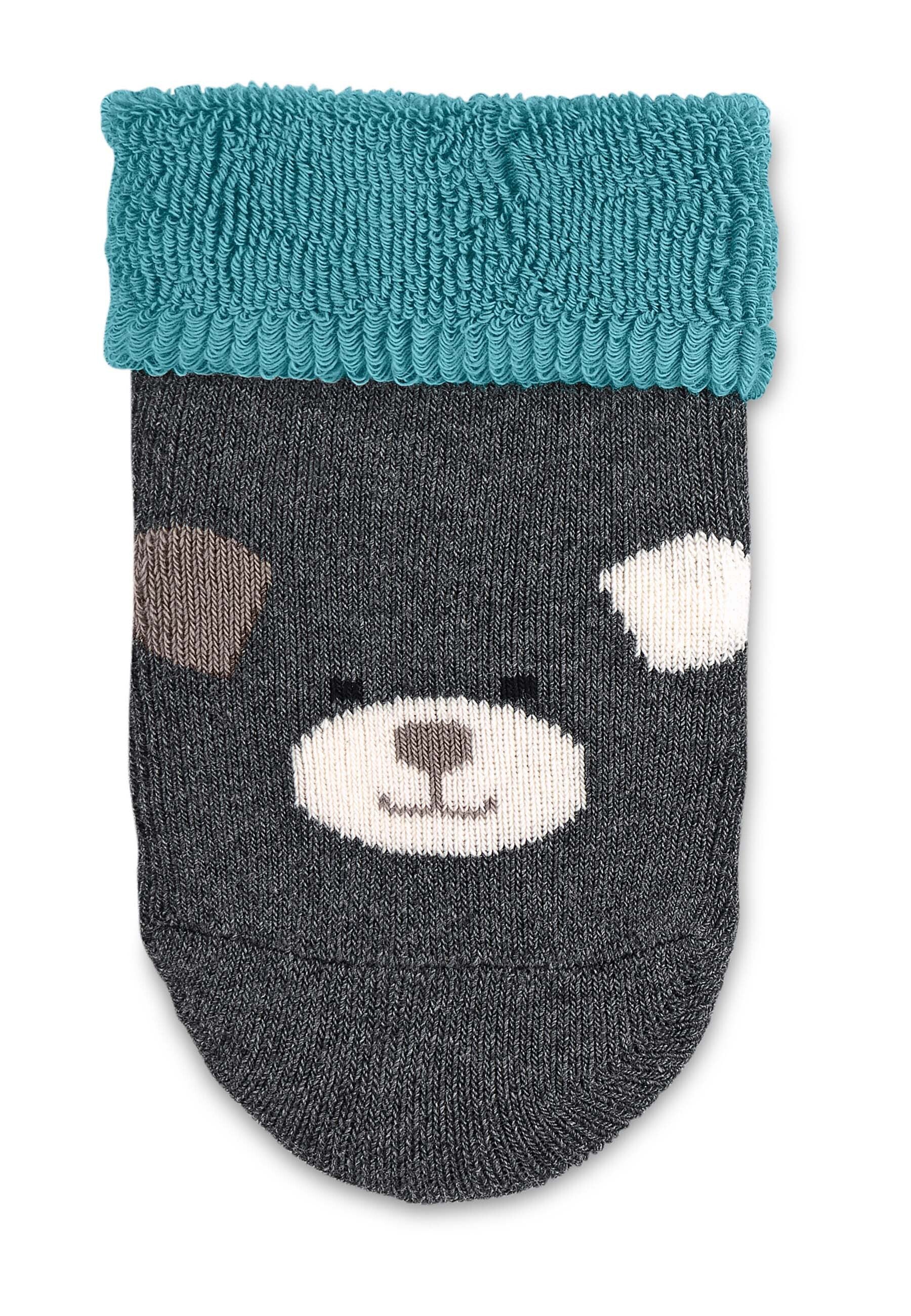 Baby-Socken mit Umschlag 2er-Pack Eisbär Elia