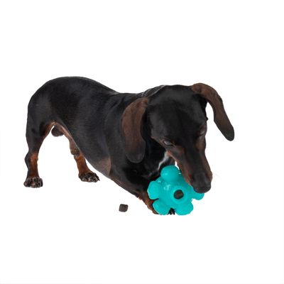 TIAKI Hundespielzeug Leckerli-Ball Meteorit