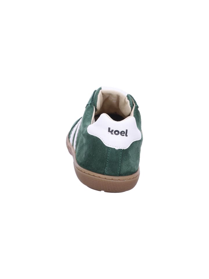KOEL Damen- Schnürschuhe  in Grün günstig kaufen 36