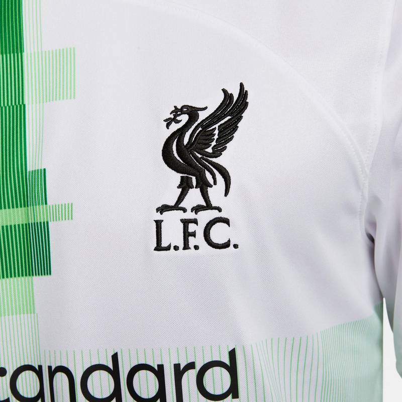 Nike FC Liverpool 23-24 Auswrts Teamtrikot Herren