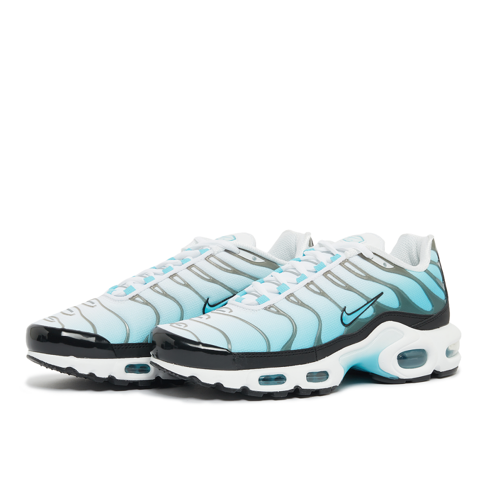 Nike Air Max Plus FD9751-100 / weiss