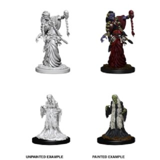 Green Hag & Night Hag: Nolzurs Marvelous Unpainted Minis