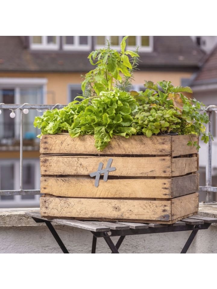 VCM  Holz Kräuterbeet Kiste Apfelkiste Pflanzkasten in Braun günstig kaufen onesize