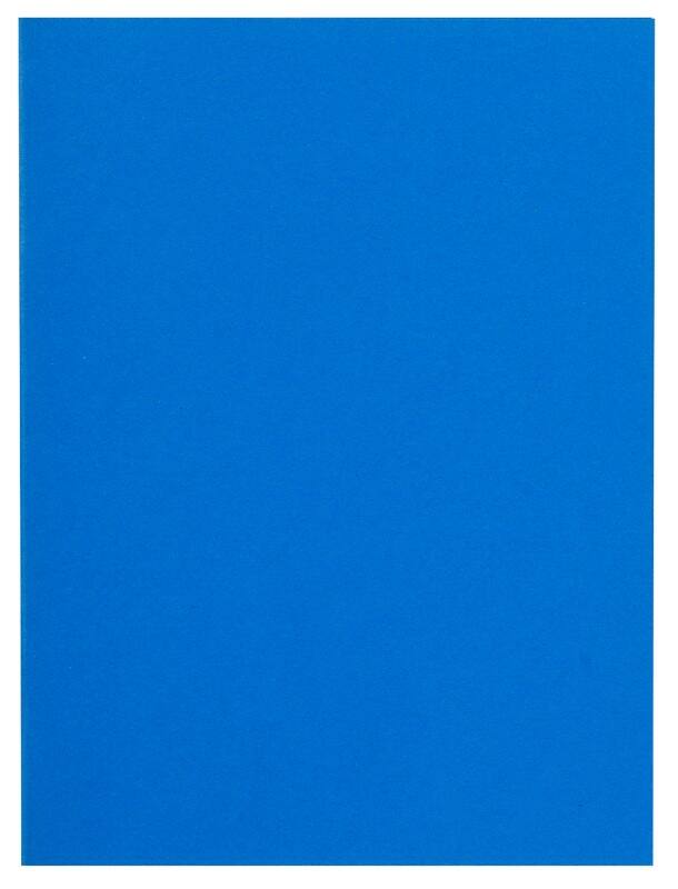 Exacompta Flash Aktendeckel DIN A4 Blau Manila 80 g/m² 1000 Stück