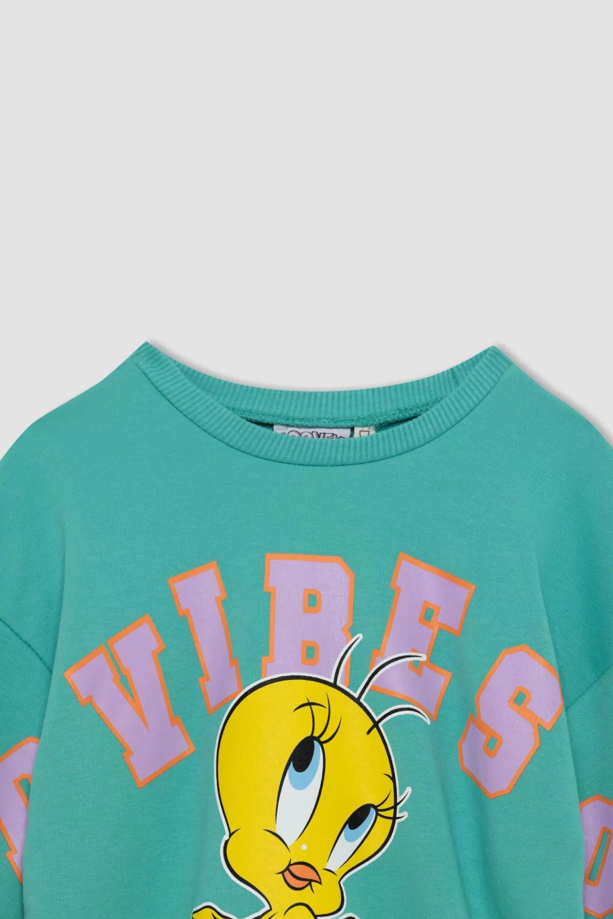 DeFacto  Looney Tunes-Sweatshirt mit Rundhalsausschnitt für Mädchen