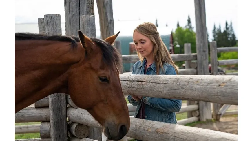 Heartland - Paradies für Pferde - Staffel 12 (Neuauflage)  [4 DVDs]