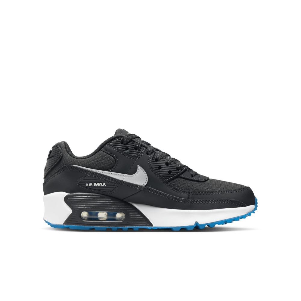 Nike Air Max 90 FV0361-001 / grau